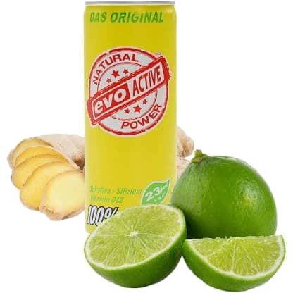 Evo Active aus Kokoswasser, Ingwer und Limette 250ml — Durch die clevere Kombination von Geschmack und der Zugabe von Silizium & Spirulina-Alge steigert Ev
